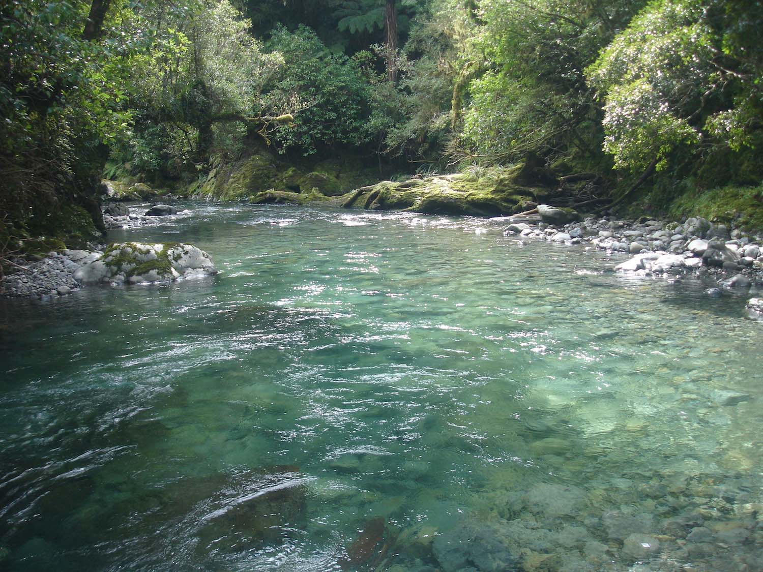 bend in wide backcountry river pool, light glistening on clear water and blush clad valley walls