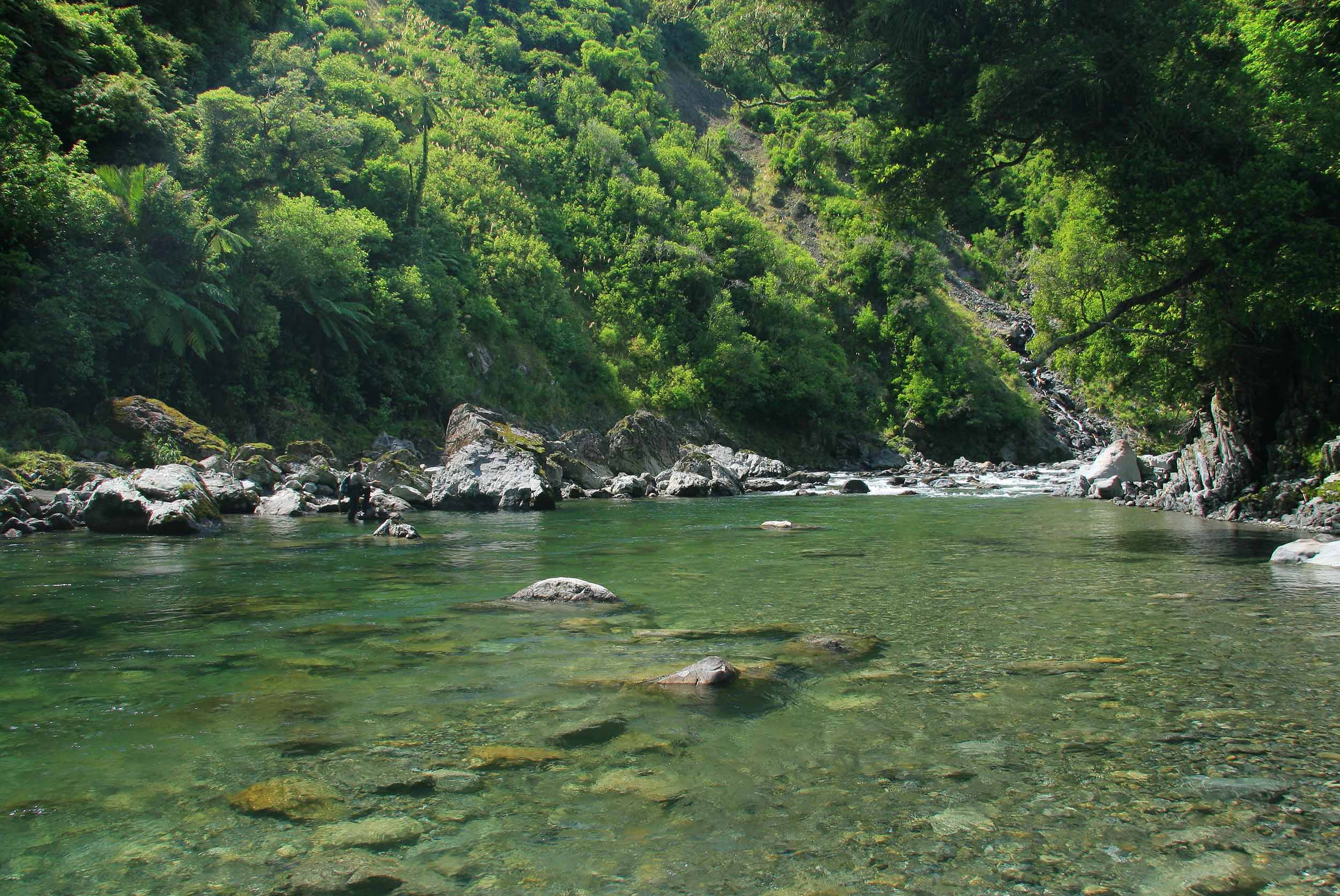 shallow pool in a wide backcountry river, surrounded by rocks, trees and bush clad valley walls, New Zealand