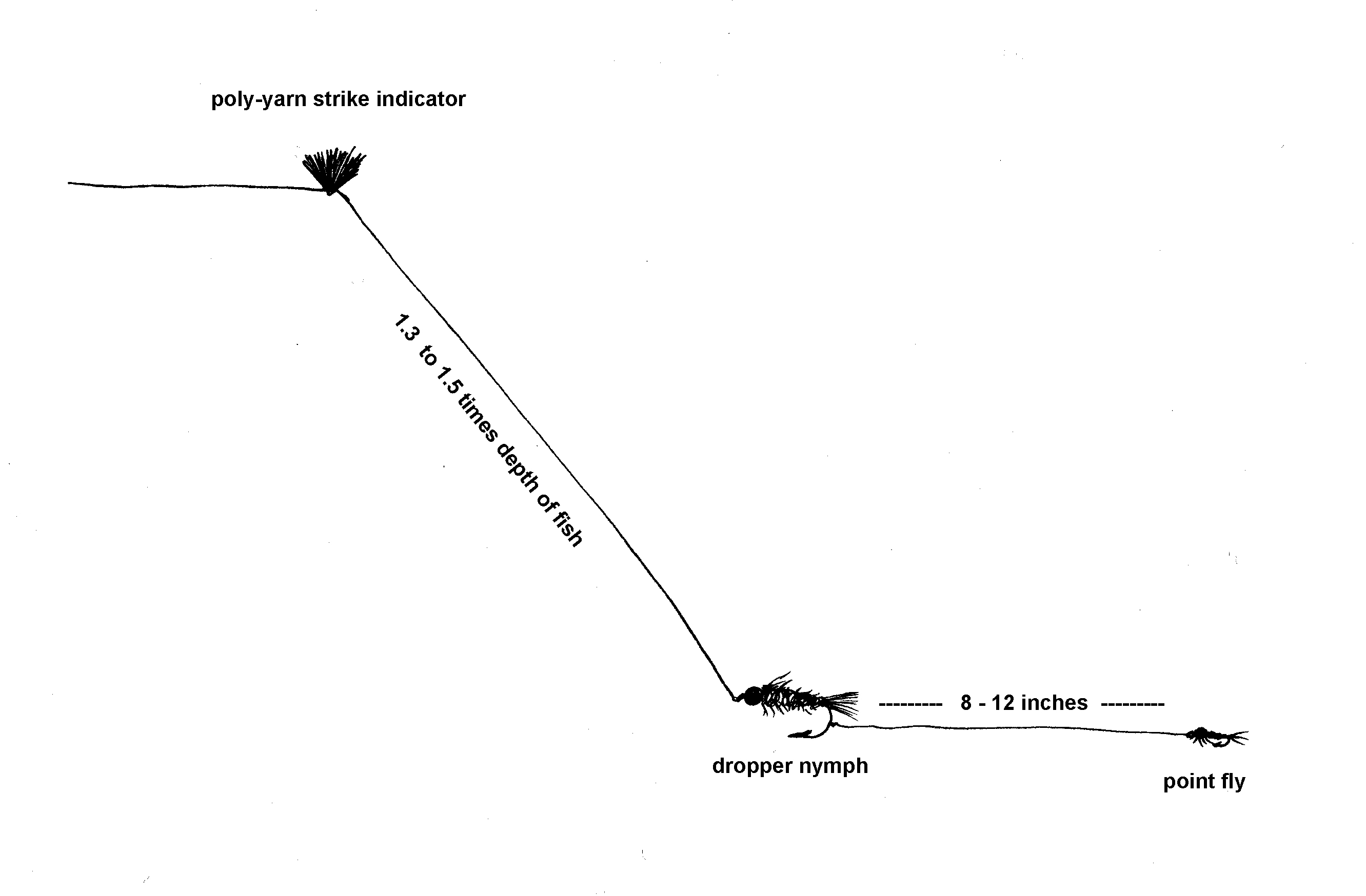 illustration of a kiwi tandem style fly fishing rig