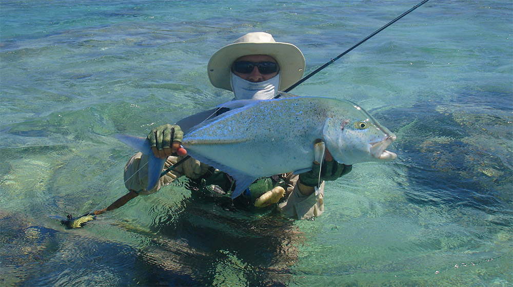 A magnificent huge blue trevally being held up after being caught, and before being released, by a fly fisherman in Aitutaki Lagoon.