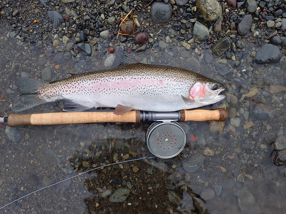 Hardy Perfect 3 7/8 Trout Fly Reel RHW large capacity trout sea trout +  single hand salmon use