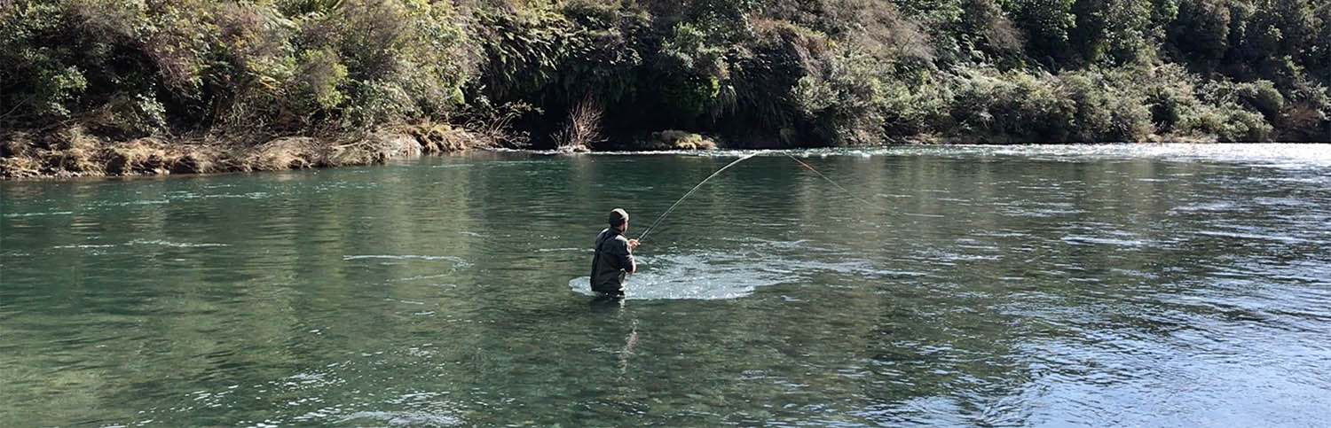 Trout fisherman standing in river with a fish on the end of the line