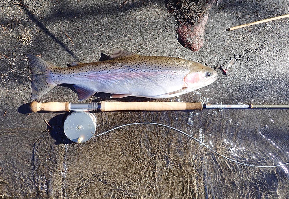 Hardy - Perfect Taupo Fly Reel