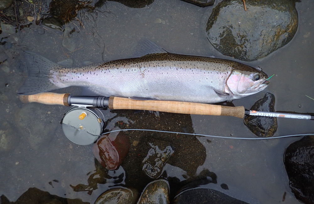 SILVERWATER FLY FISHING & DESIGN : HARDY PERFECT 3 7/8 PERFECT