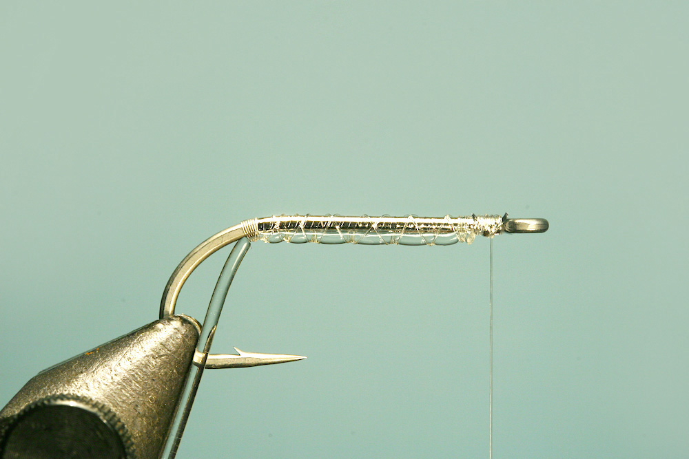 Jelly belly minnow fly pattern - tying step 3