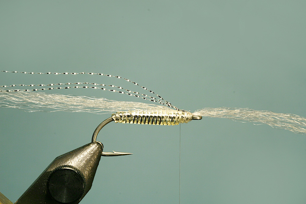 Jelly belly minnow fly pattern - tying step 6