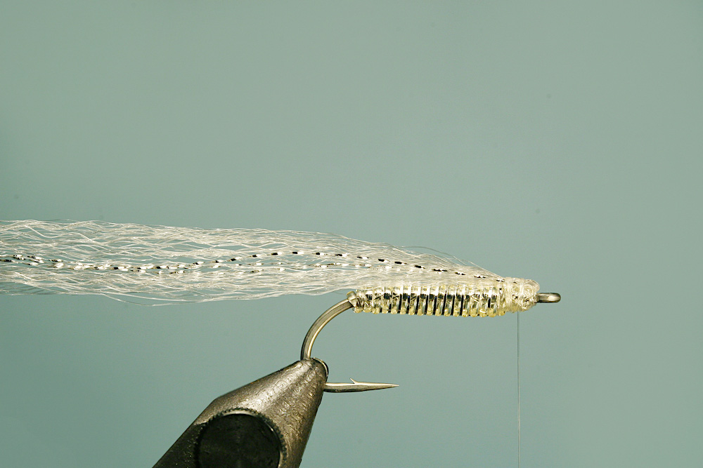 Jelly belly minnow fly pattern - tying step 7