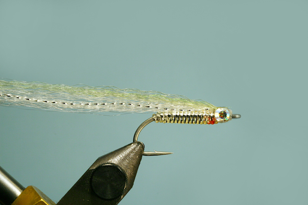 Jelly belly minnow fly pattern - tying step 8