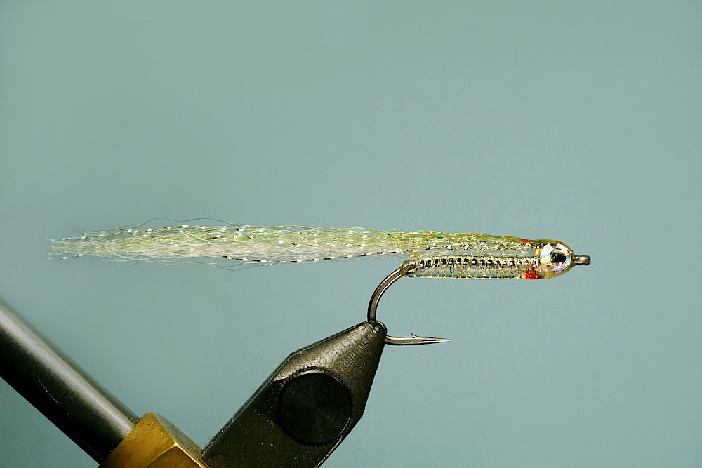 jelly belly minnow fly pattern and tying steps