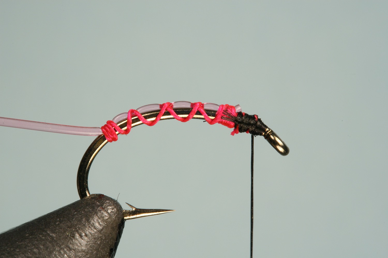 Step 1 of tying sequence for jelly caddis fly pattern