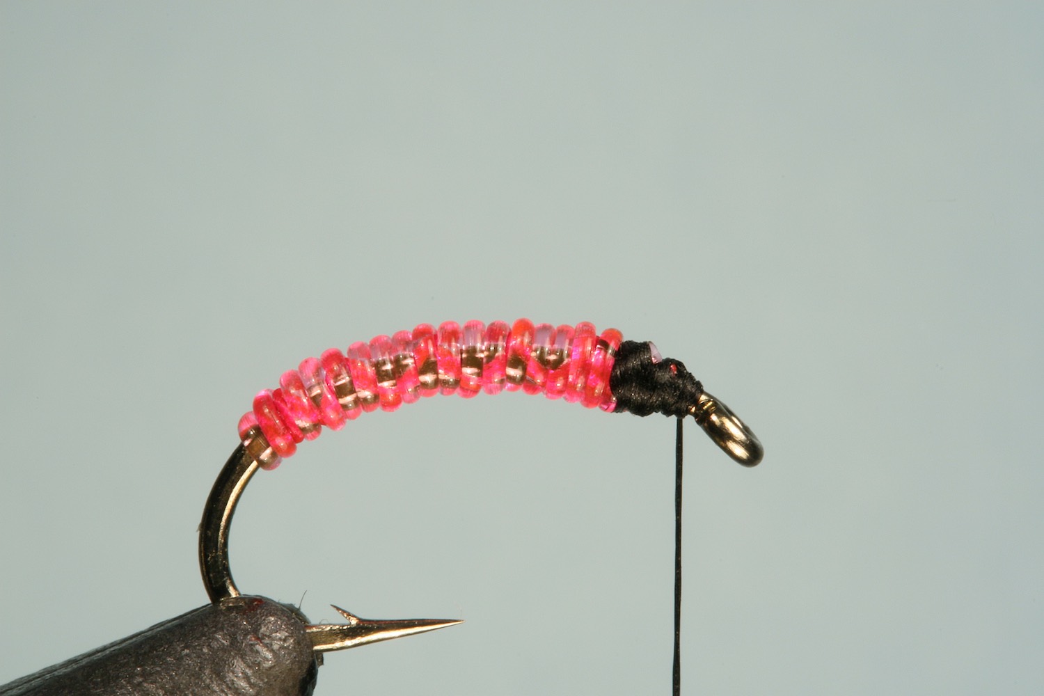 Step 2 of tying sequence for jelly caddis fly pattern