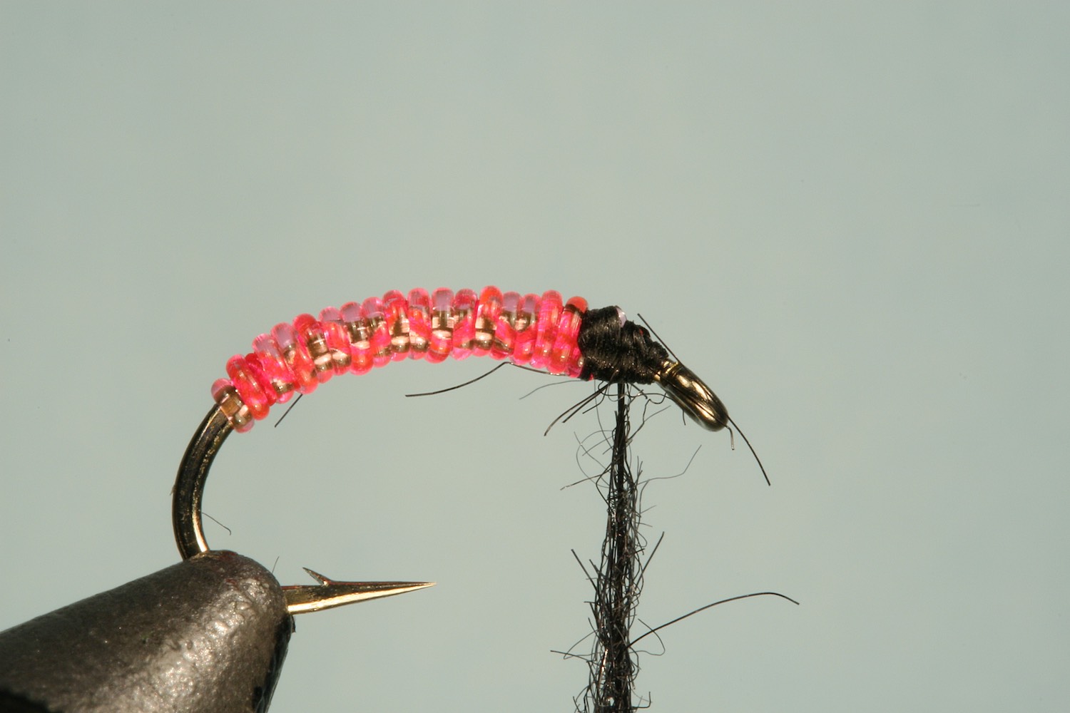 Step 3 of tying sequence for jelly caddis fly pattern