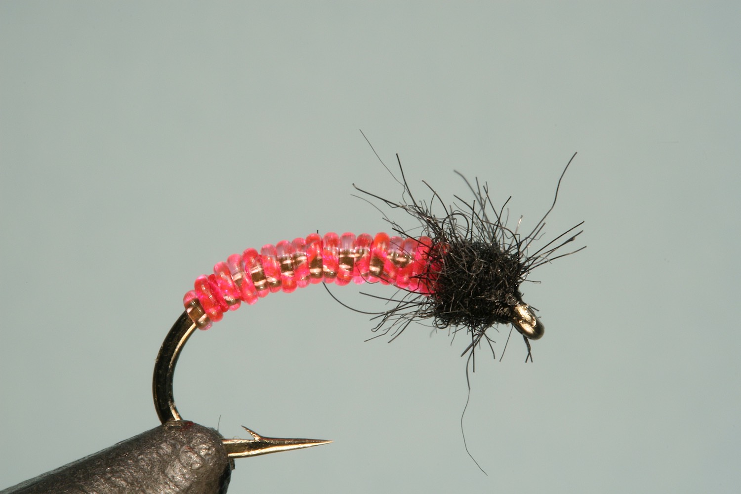Step 4 of tying sequence for jelly caddis fly pattern