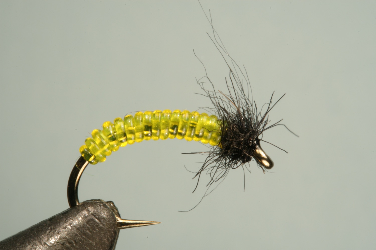 Step 4 of tying sequence for jelly caddis fly pattern