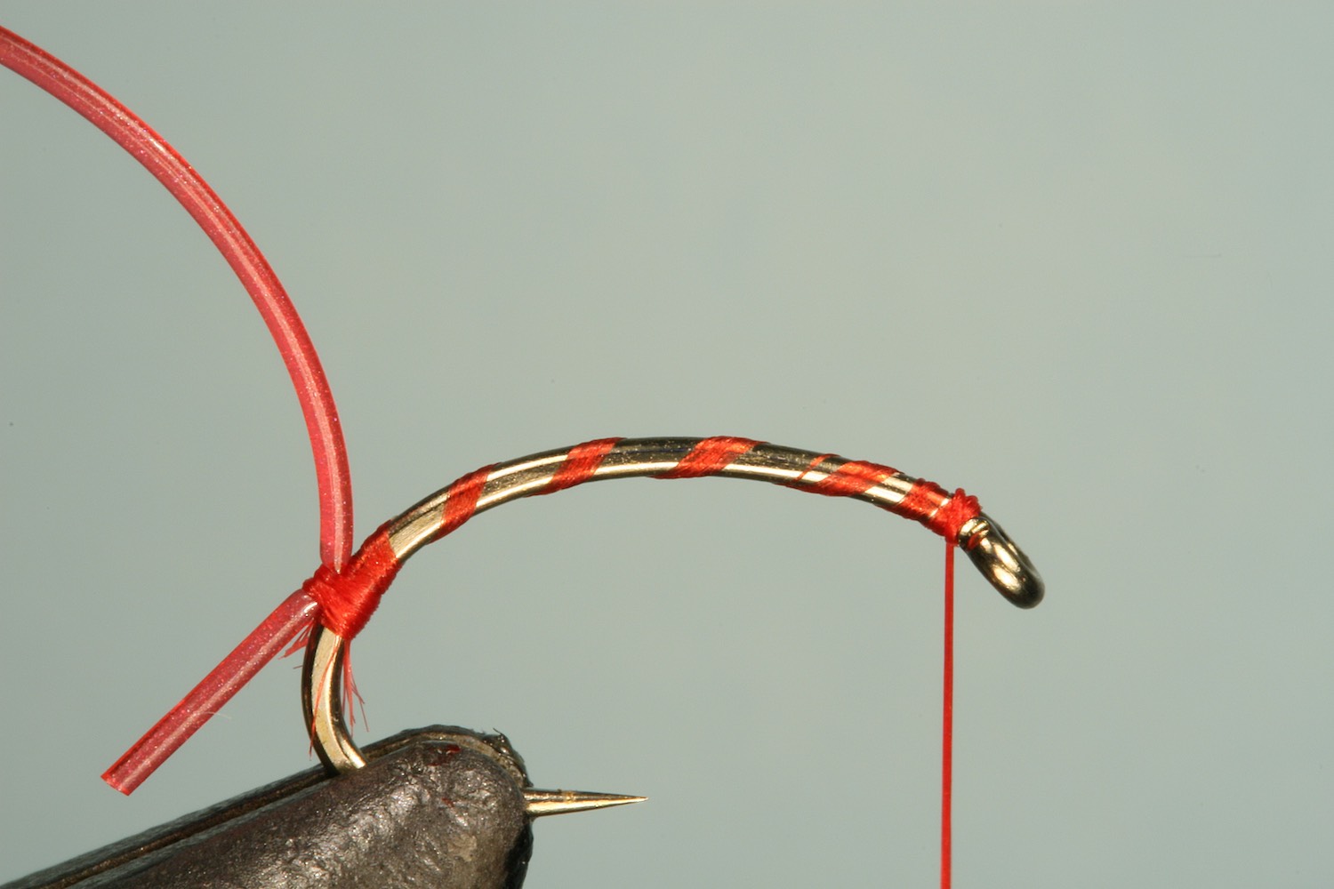 Step 1 of tying sequence for jelly bloodworm fly pattern