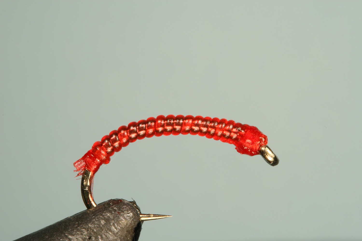 Step 2 of tying sequence for jelly bloodworm fly pattern