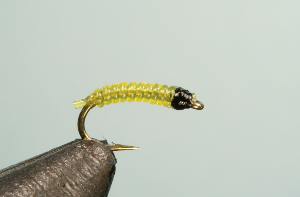 Tying sequence for jelly bloodworm fly pattern