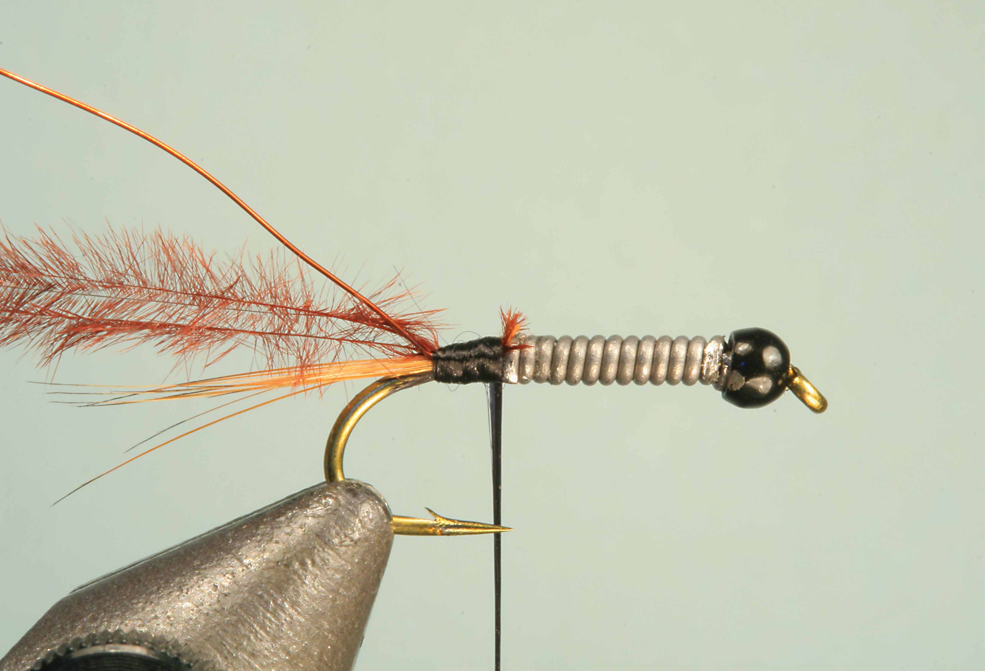 Jelly Leg Colly Tying Step 2