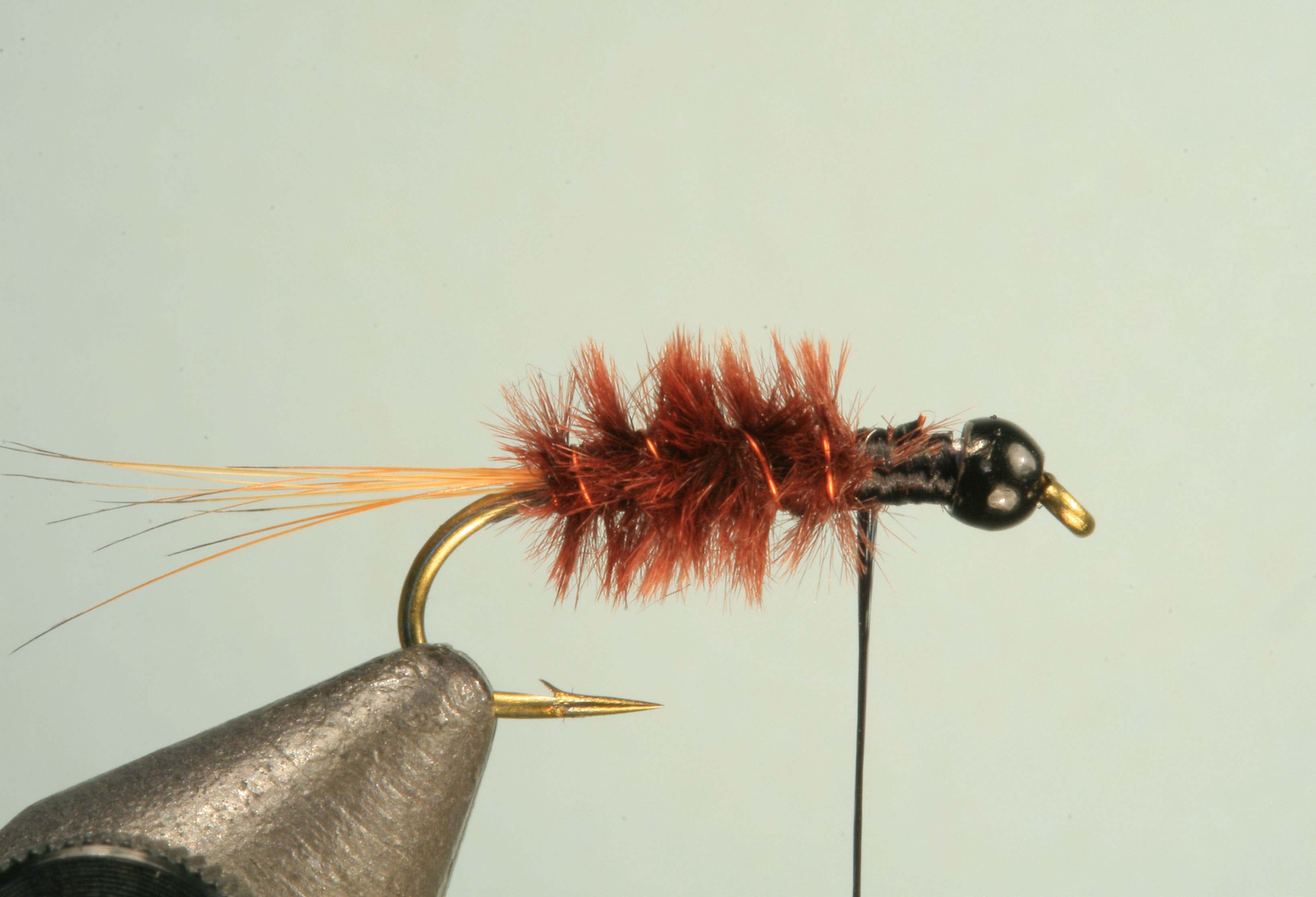 Jelly Leg Colly Tying Step 4