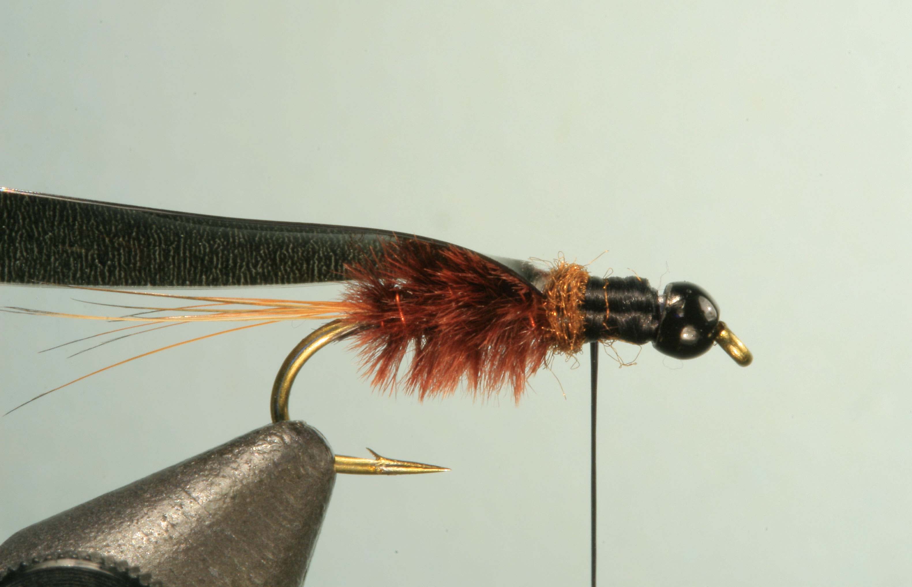 Jelly Leg Colly Tying Step 5