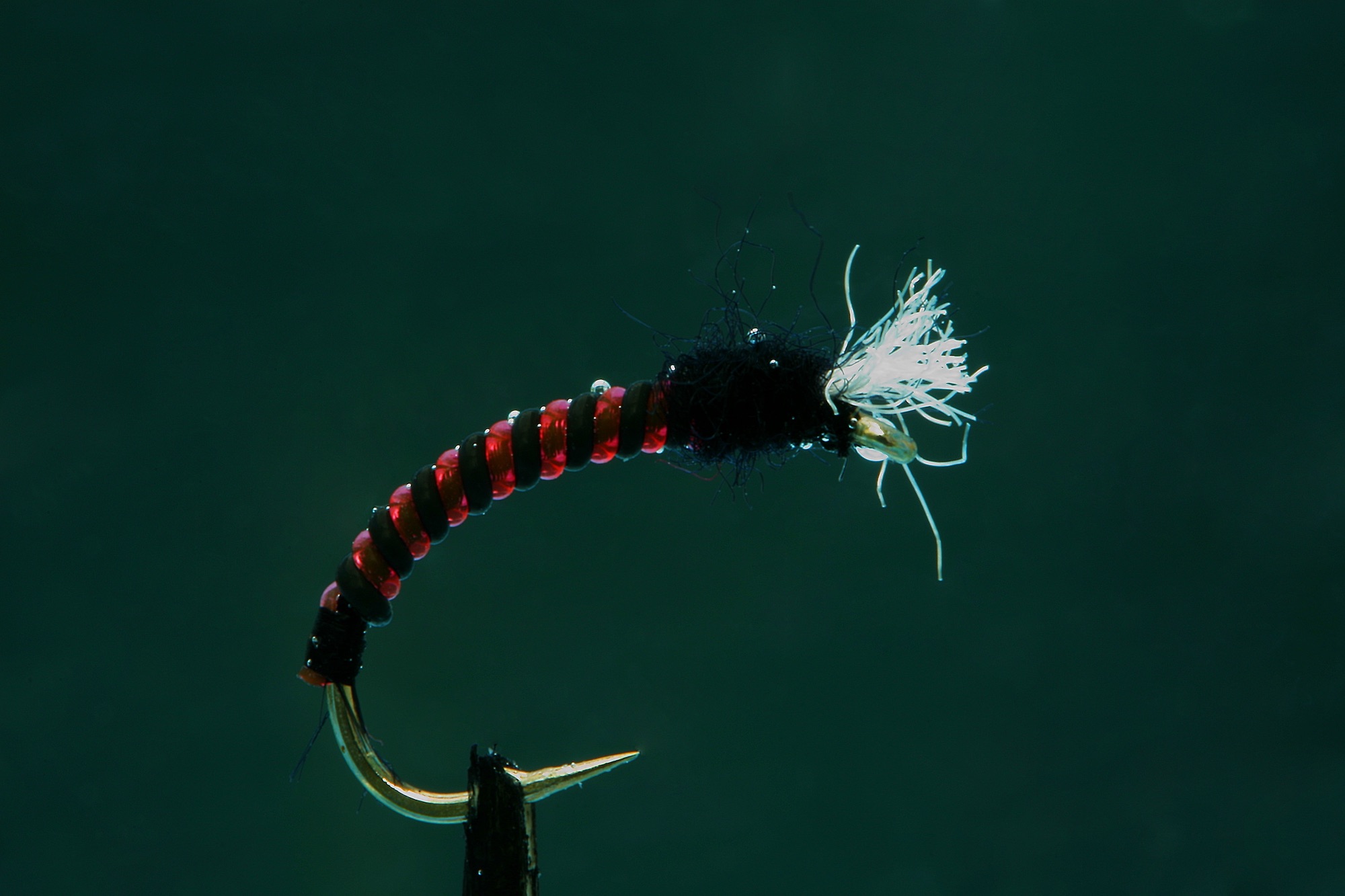 Red and Black version of Jelly Midge fly