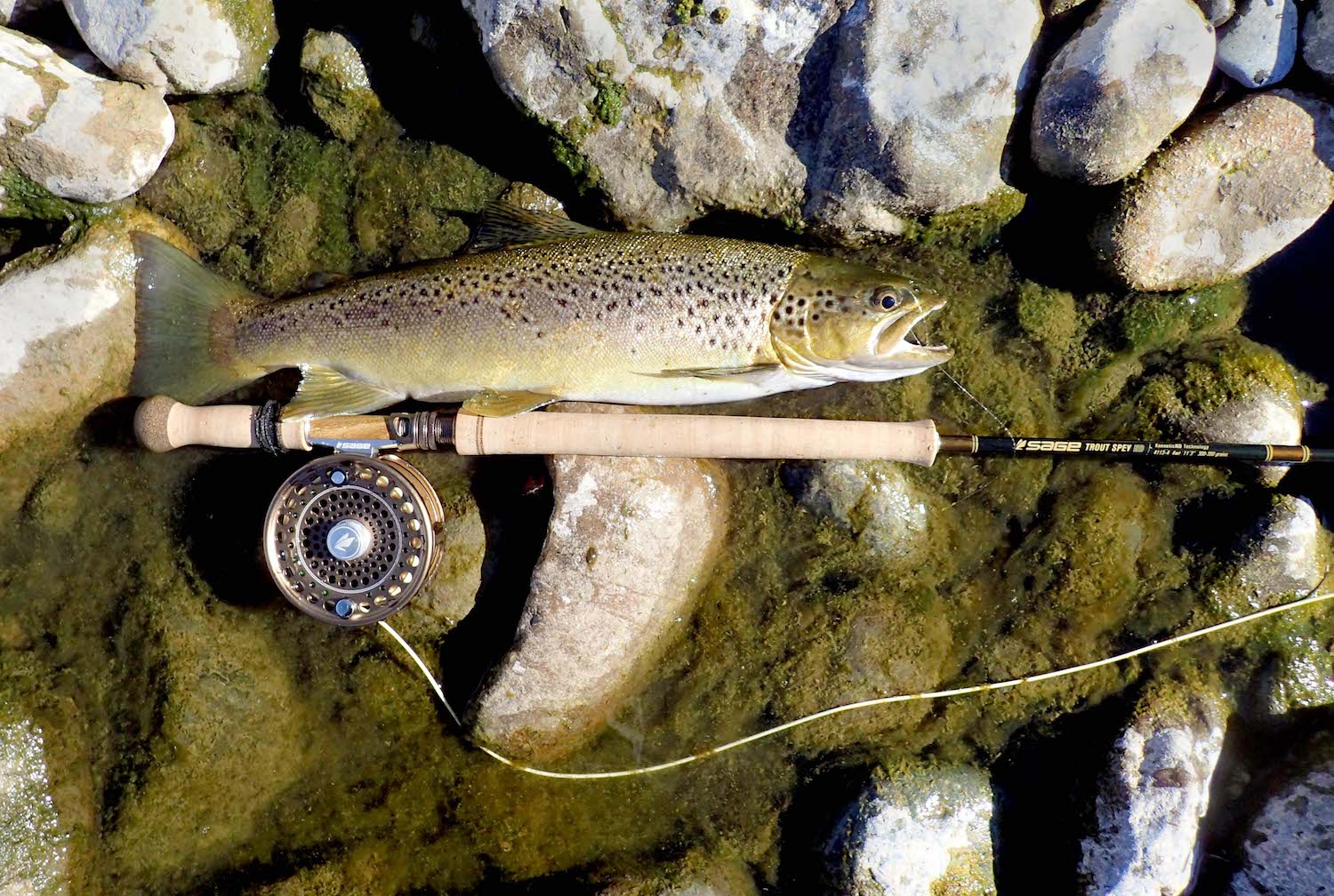 SILVERWATER FLY FISHING & DESIGN : SAGE TROUT SPEY HD 4113-4 4 WT
