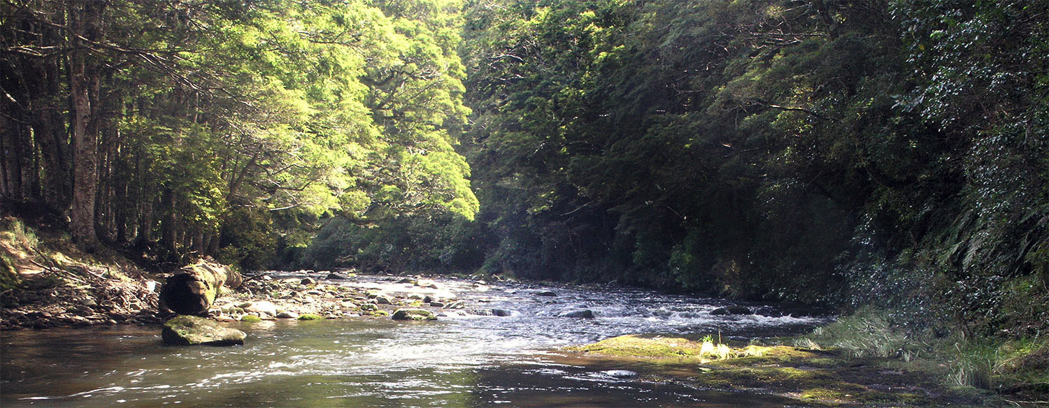 meandering river lower south island. Silverwater fly fishing