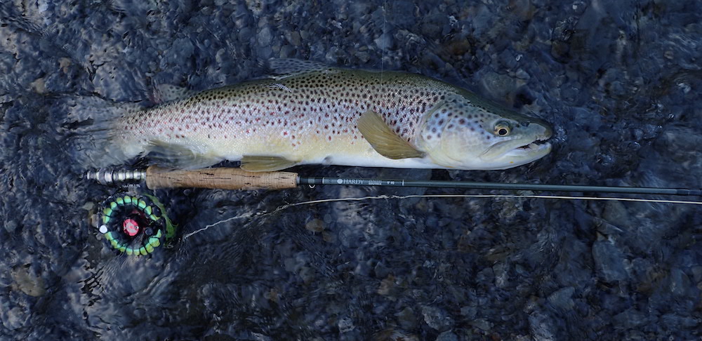 Photo of a trout lying on the riverbed with water and a flyfishing rod with reel and line