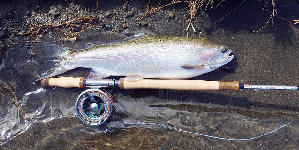 Trout about to be released back into Tongario river lying on ground with an Orvis Mission 12 foot 4 wt rod