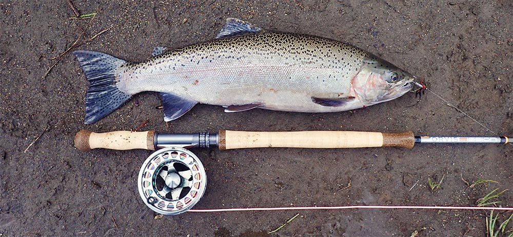 Trout lying next to river with rod, reel and Skagit Max Power Head line