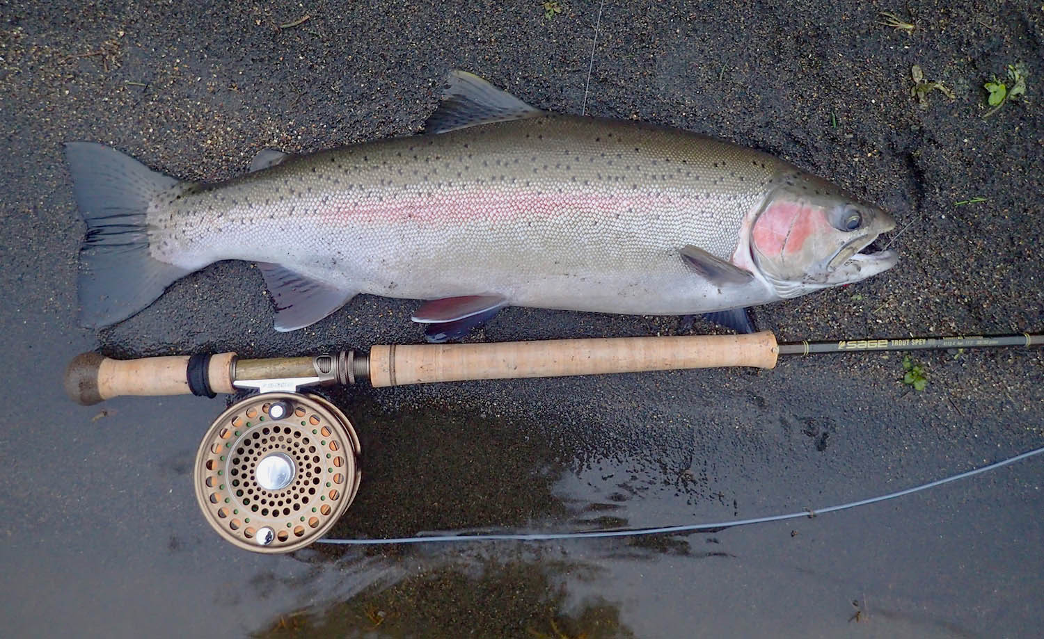 SILVERWATER FLY FISHING & DESIGN : SAGE TROUT SPEY HD 4113-4 4 WT ROD REVIEW