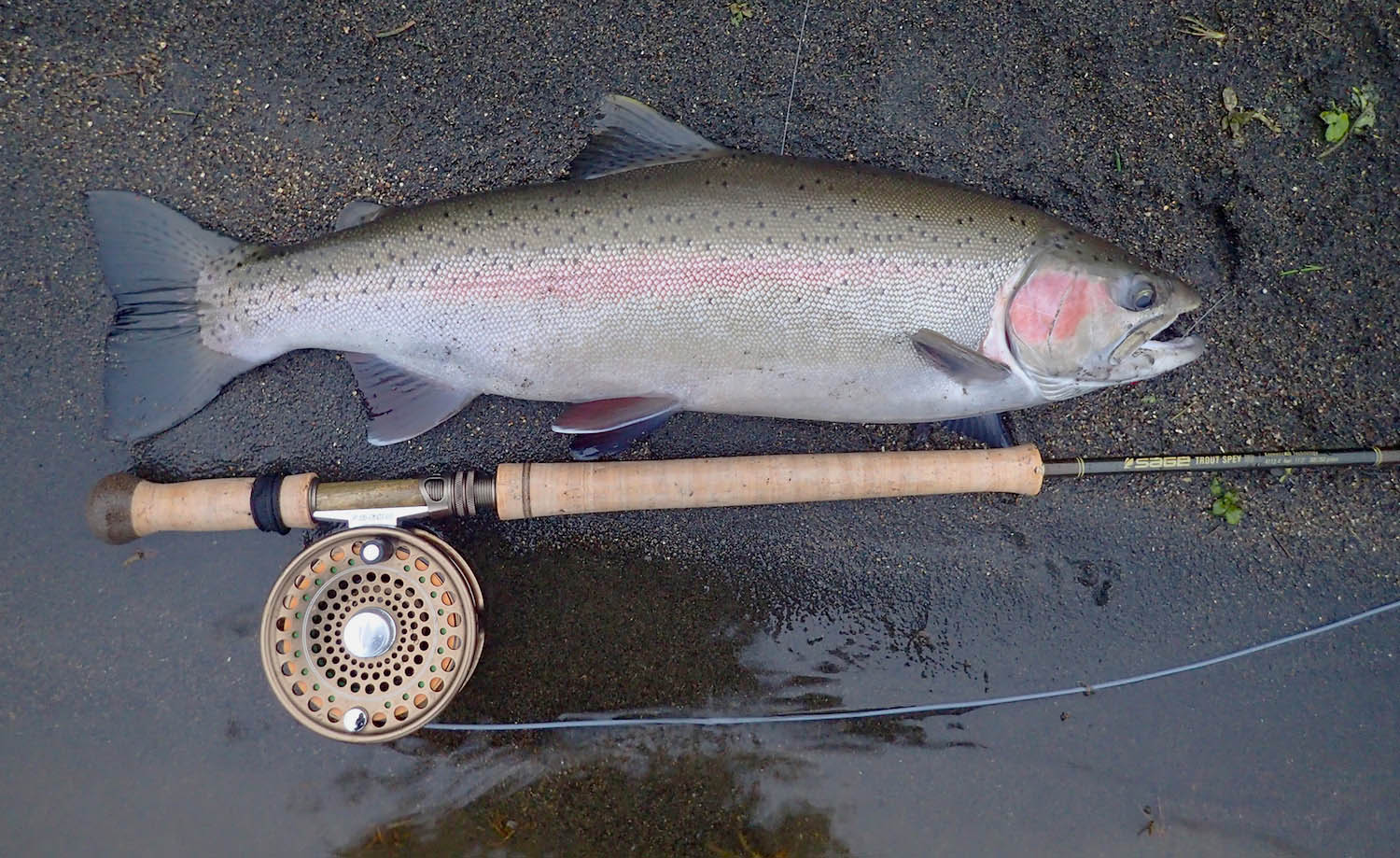 Sage Trout Spey Reel 3/4/5